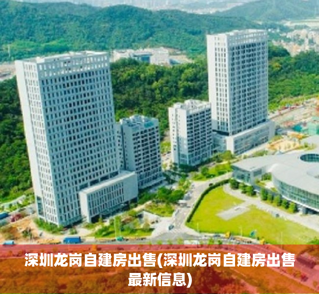 深圳龙岗自建房出售(深圳龙岗自建房出售最新信息)