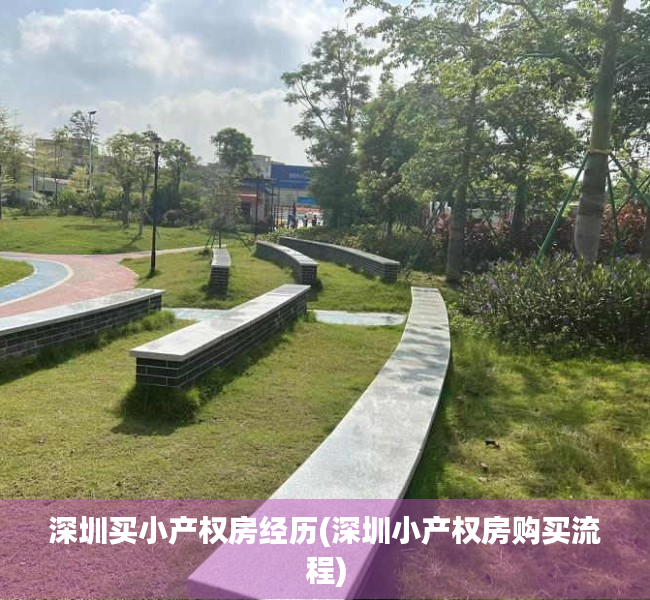深圳买小产权房经历(深圳小产权房购买流程) 深圳买小产权房经历(深圳小产权房购买流程)