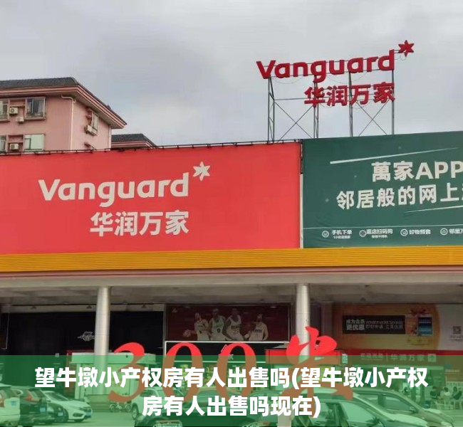 望牛墩小产权房有人出售吗(望牛墩小产权房有人出售吗现在) 望牛墩小产权房有人出售吗(望牛墩小产权房有人出售吗现在)