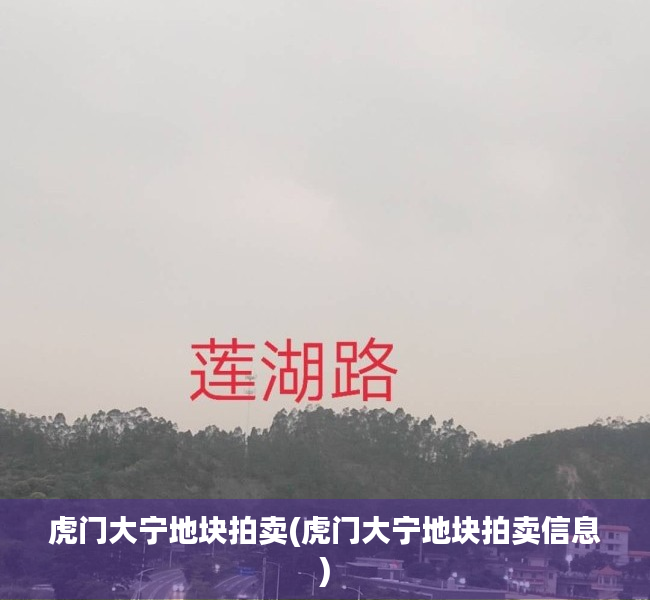 虎门大宁地块拍卖(虎门大宁地块拍卖信息) 虎门大宁地块拍卖(虎门大宁地块拍卖信息)