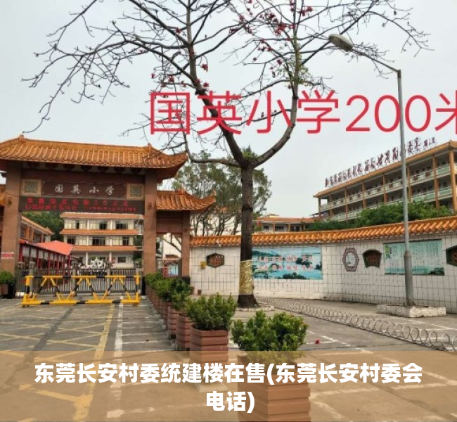 东莞长安村委统建楼在售(东莞长安村委会电话) 东莞长安村委统建楼在售(东莞长安村委会电话)