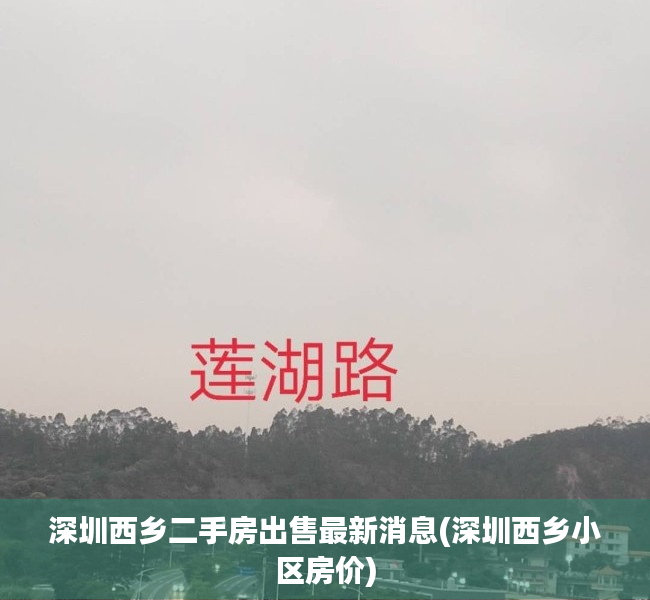 深圳西乡二手房出售最新消息(深圳西乡小区房价) 深圳西乡二手房出售最新消息(深圳西乡小区房价)