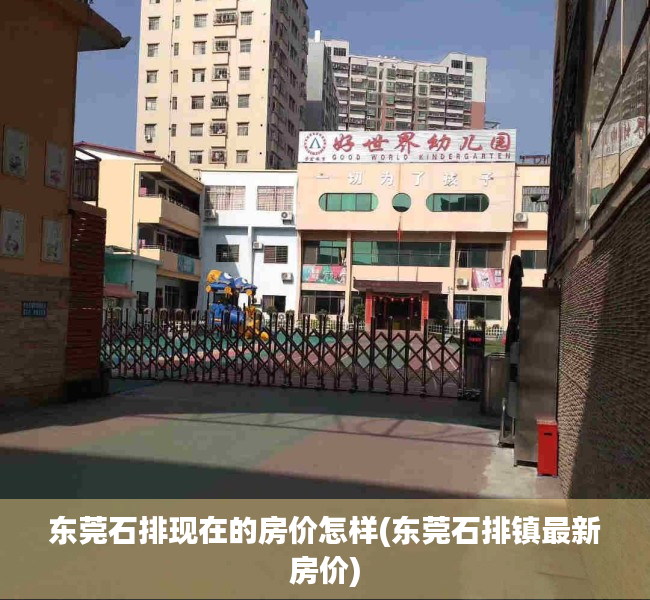 东莞石排现在的房价怎样(东莞石排镇最新房价)