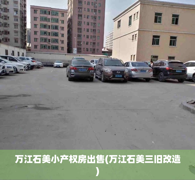 万江石美小产权房出售(万江石美三旧改造) 万江石美小产权房出售(万江石美三旧改造)