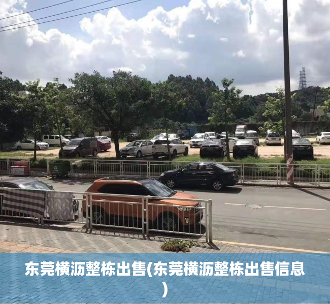 东莞横沥整栋出售(东莞横沥整栋出售信息)