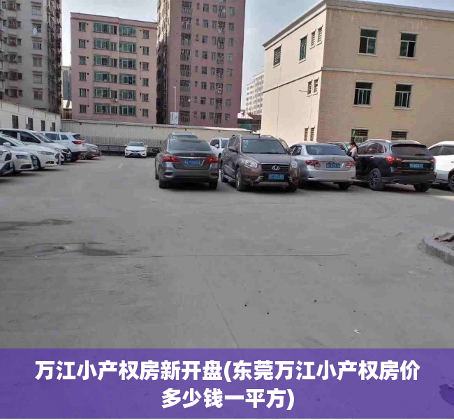 万江小产权房新开盘(东莞万江小产权房价多少钱一平方) 万江小产权房新开盘(东莞万江小产权房价多少钱一平方)