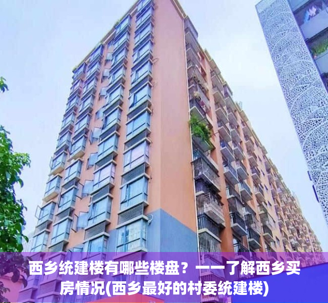 西乡统建楼有哪些楼盘？一一了解西乡买房情况(西乡最好的村委统建楼)