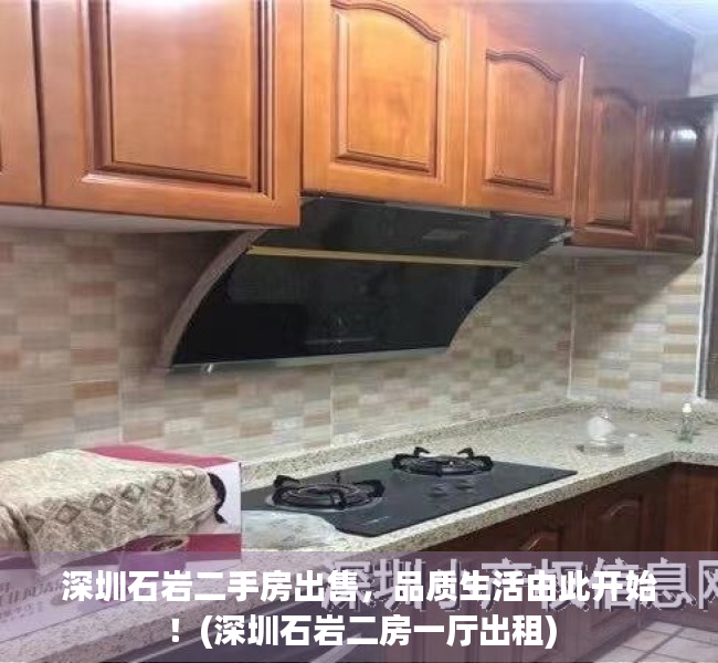 深圳石岩二手房出售，品质生活由此开始！(深圳石岩二房一厅出租)