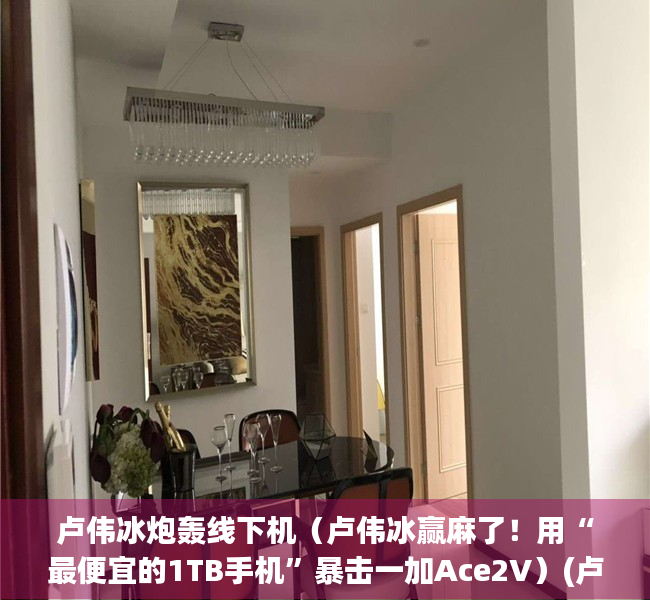 卢伟冰炮轰线下机（卢伟冰赢麻了！用“最便宜的1TB手机”暴击一加Ace2V）(卢伟冰爆发了)