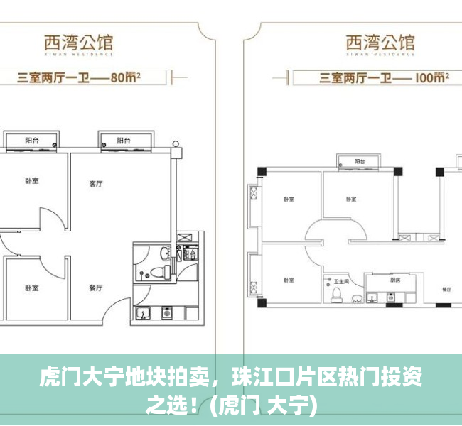 虎门大宁地块拍卖，珠江口片区热门投资之选！(虎门 大宁)