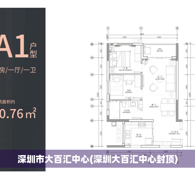 深圳市大百汇中心(深圳大百汇中心封顶) 深圳市大百汇中心(深圳大百汇中心封顶)