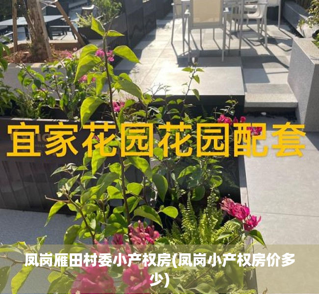凤岗雁田村委小产权房(凤岗小产权房价多少)