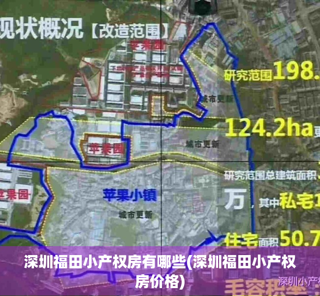 深圳福田小产权房有哪些(深圳福田小产权房价格) 深圳福田小产权房有哪些(深圳福田小产权房价格)