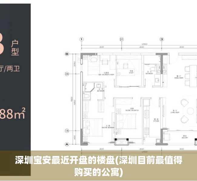 深圳宝安最近开盘的楼盘(深圳目前最值得购买的公寓) 深圳宝安最近开盘的楼盘(深圳目前最值得购买的公寓)