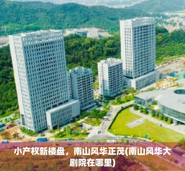 小产权新楼盘，南山风华正茂(南山风华大剧院在哪里)