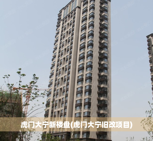 虎门大宁新楼盘(虎门大宁旧改项目)