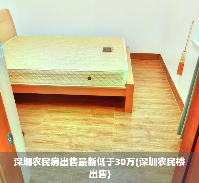 深圳农民房出售最新低于30万(深圳农民楼出售)