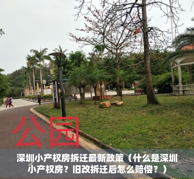 深圳小产权房拆迁最新政策（什么是深圳小产权房？旧改拆迁后怎么赔偿？）