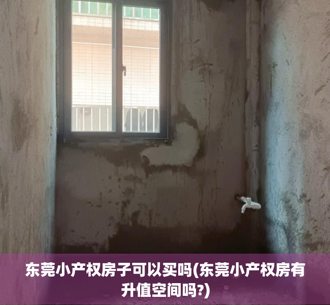 东莞小产权房子可以买吗(东莞小产权房有升值空间吗?)