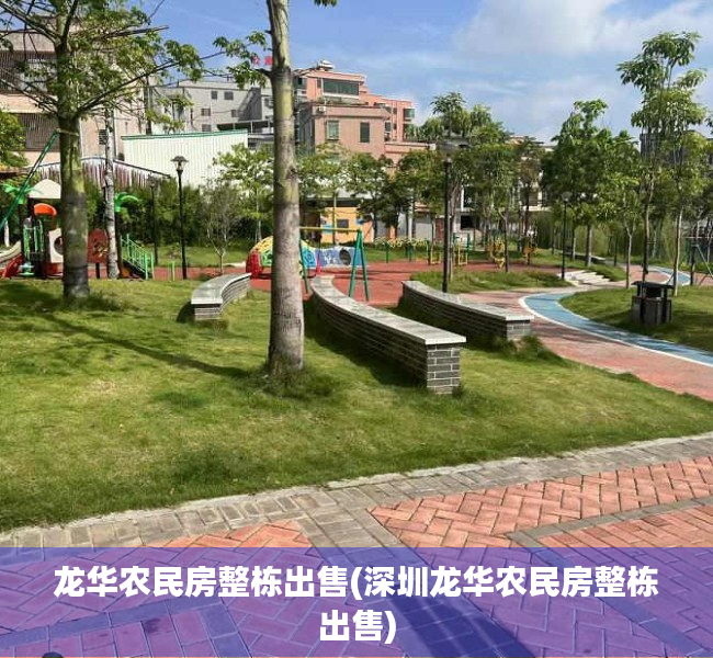 龙华农民房整栋出售(深圳龙华农民房整栋出售)