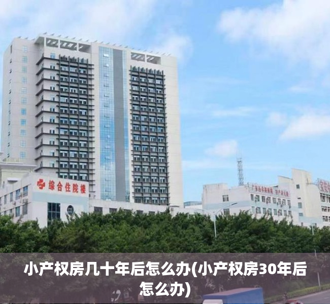 小产权房几十年后怎么办(小产权房30年后怎么办) 小产权房几十年后怎么办(小产权房30年后怎么办)