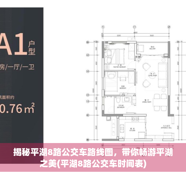 揭秘平湖8路公交车路线图，带你畅游平湖之美(平湖8路公交车时间表)