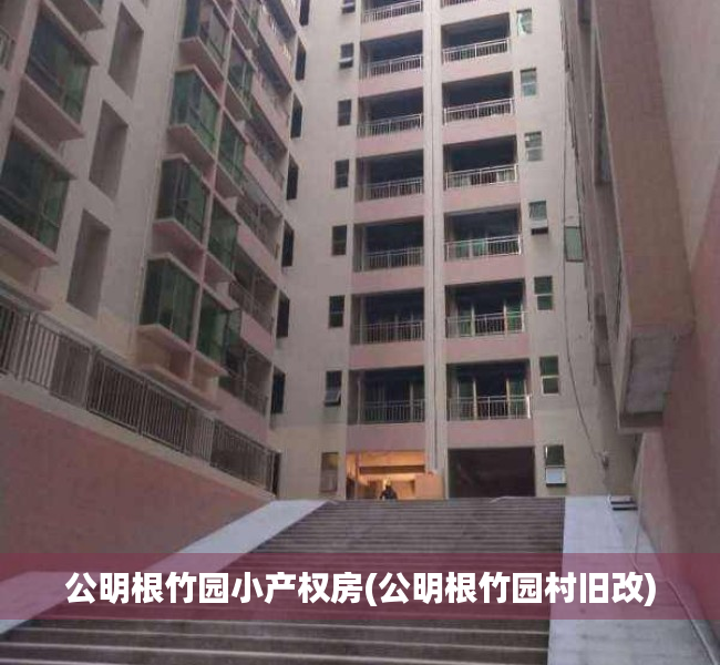 公明根竹园小产权房(公明根竹园村旧改) 公明根竹园小产权房(公明根竹园村旧改)