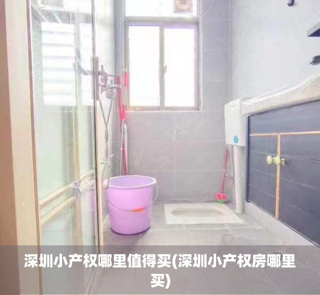 深圳小产权哪里值得买(深圳小产权房哪里买) 深圳小产权哪里值得买(深圳小产权房哪里买)