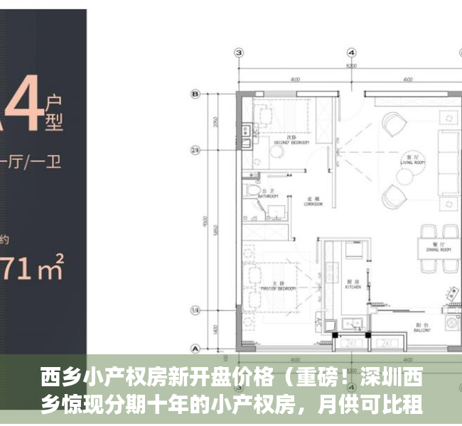 西乡小产权房新开盘价格（重磅！深圳西乡惊现分期十年的小产权房，月供可比租金贵！）