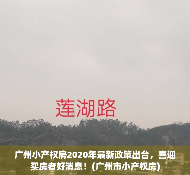 广州小产权房2020年最新政策出台，喜迎买房者好消息！(广州市小产权房)