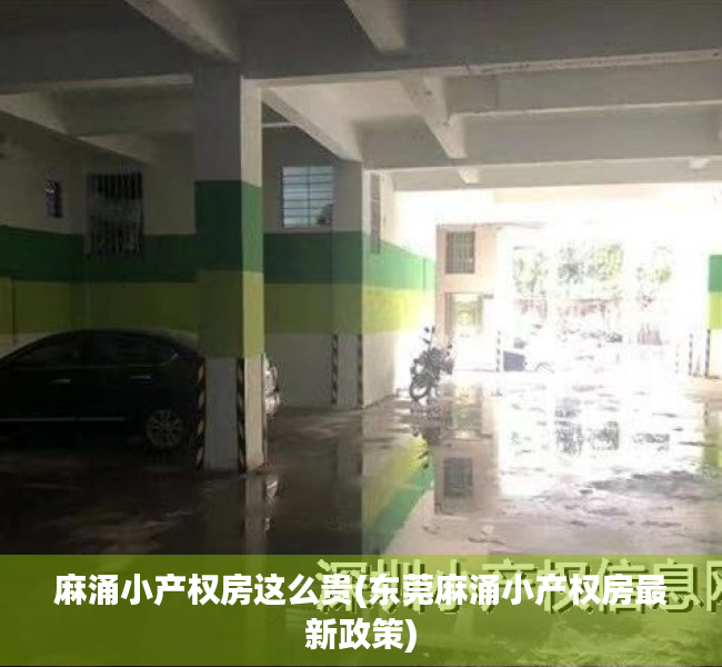 麻涌小产权房这么贵(东莞麻涌小产权房最新政策) 麻涌小产权房这么贵(东莞麻涌小产权房最新政策)