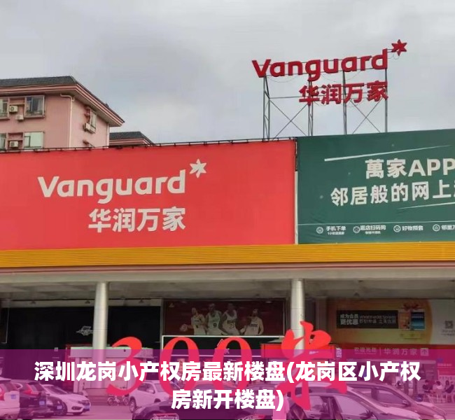 深圳龙岗小产权房最新楼盘(龙岗区小产权房新开楼盘) 深圳龙岗小产权房最新楼盘(龙岗区小产权房新开楼盘)