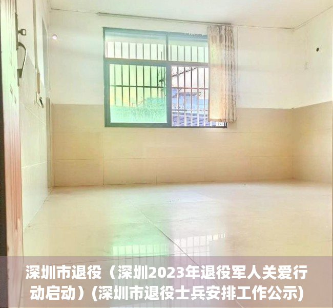 深圳市退役（深圳2023年退役军人关爱行动启动）(深圳市退役士兵安排工作公示)