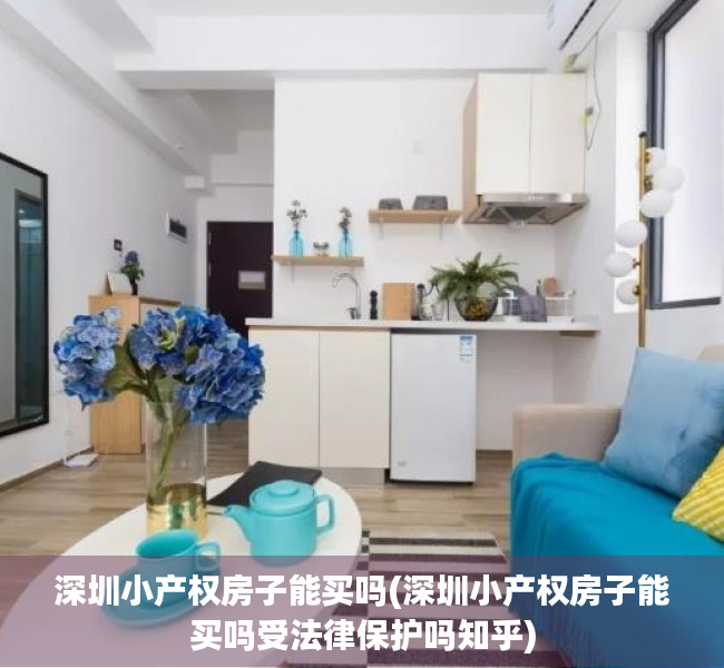 深圳小产权房子能买吗(深圳小产权房子能买吗受法律保护吗知乎)