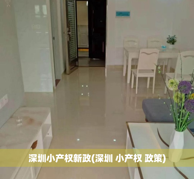 深圳小产权新政(深圳 小产权 政策)