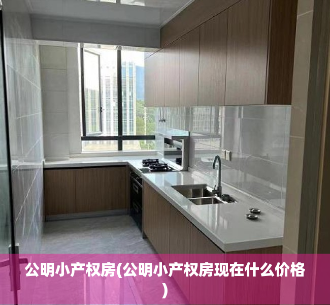 公明小产权房(公明小产权房现在什么价格) 公明小产权房(公明小产权房现在什么价格)