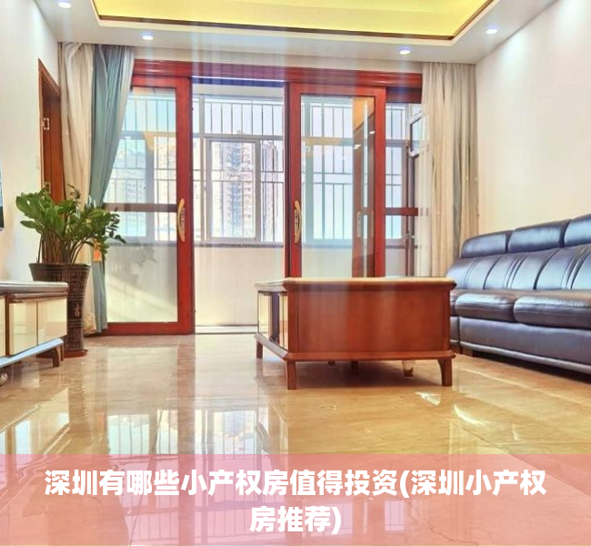 深圳有哪些小产权房值得投资(深圳小产权房推荐)