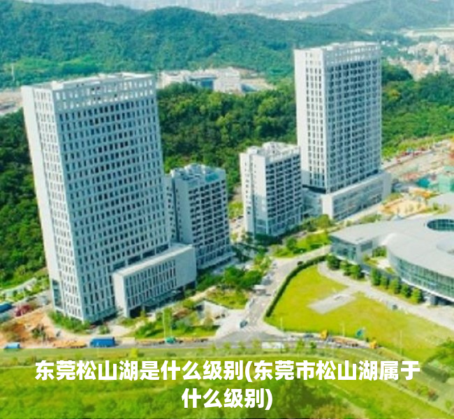 东莞松山湖是什么级别(东莞市松山湖属于什么级别)