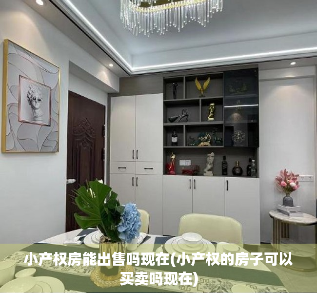 小产权房能出售吗现在(小产权的房子可以买卖吗现在) 小产权房能出售吗现在(小产权的房子可以买卖吗现在)