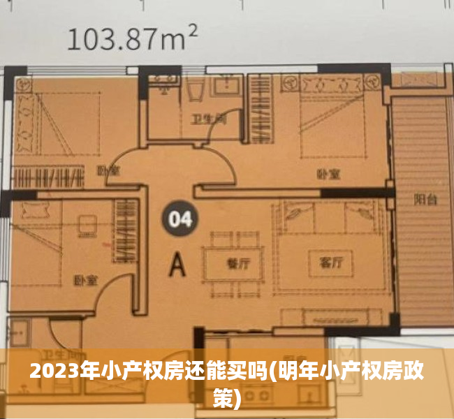 2023年小产权房还能买吗(明年小产权房政策) 2023年小产权房还能买吗(明年小产权房政策)