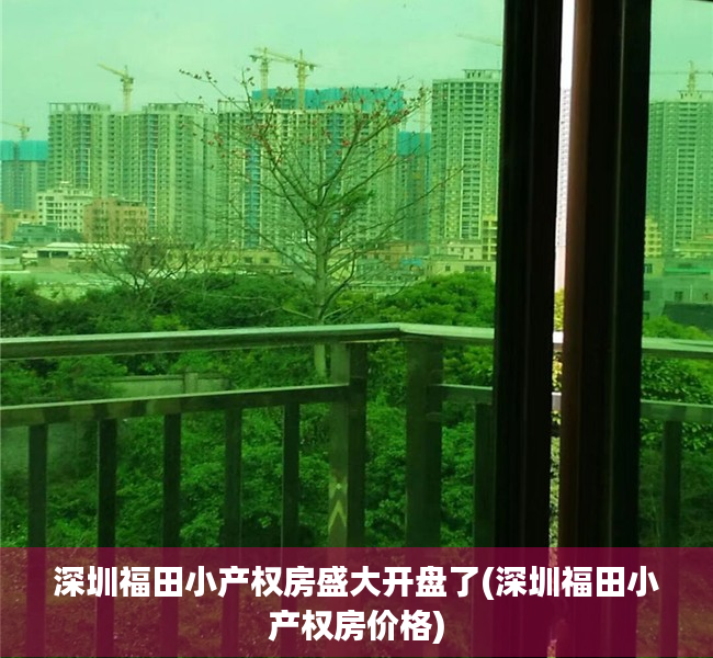 深圳福田小产权房盛大开盘了(深圳福田小产权房价格) 深圳福田小产权房盛大开盘了(深圳福田小产权房价格)
