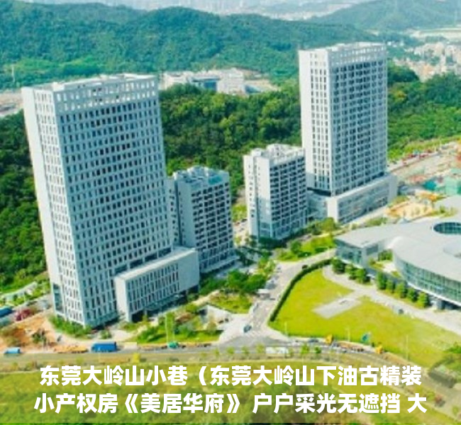 东莞大岭山小巷（东莞大岭山下油古精装小产权房《美居华府》 户户采光无遮挡 大飘窗大阳台 均价5000元 首付3成起）