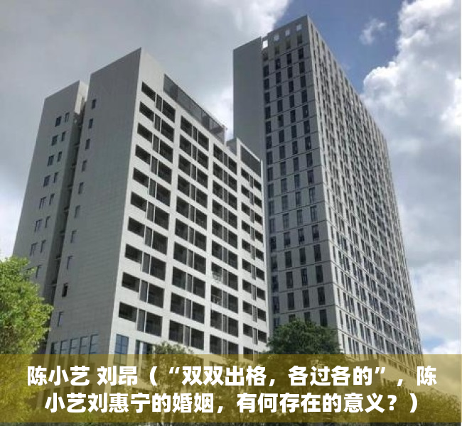 陈小艺 刘昂（“双双出格，各过各的”，陈小艺刘惠宁的婚姻，有何存在的意义？）