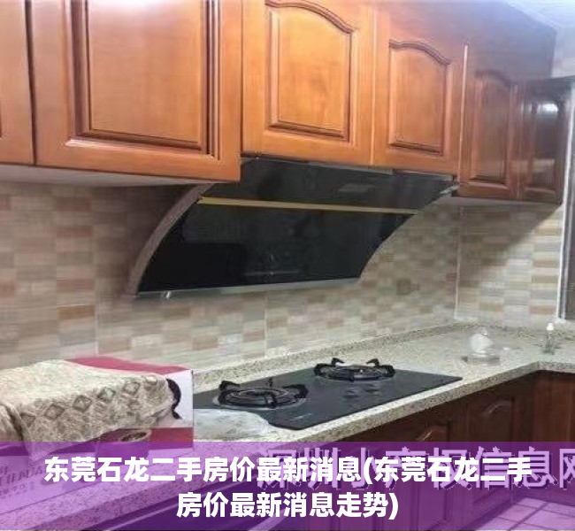 东莞石龙二手房价最新消息(东莞石龙二手房价最新消息走势)