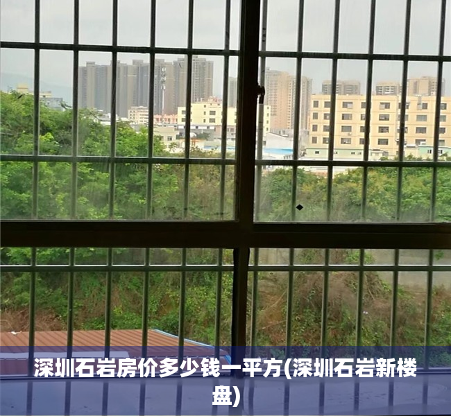 深圳石岩房价多少钱一平方(深圳石岩新楼盘)