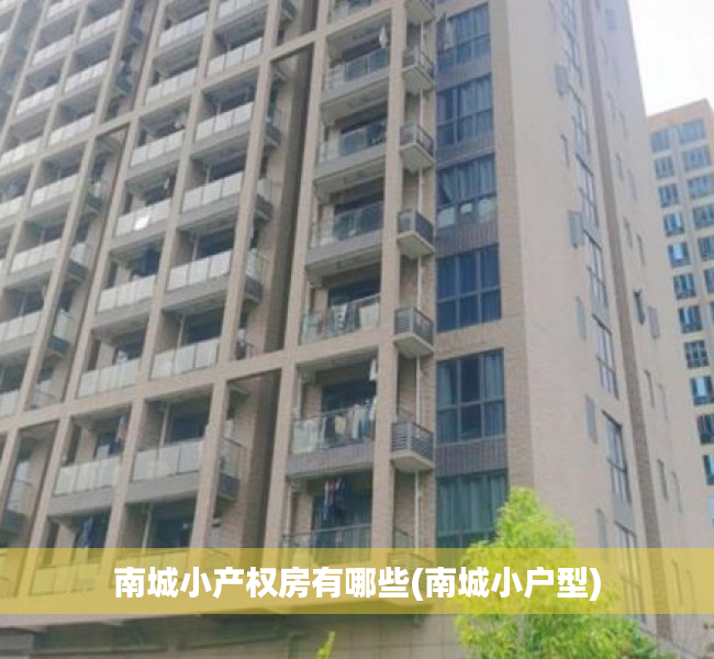 南城小产权房有哪些(南城小户型) 南城小产权房有哪些(南城小户型)