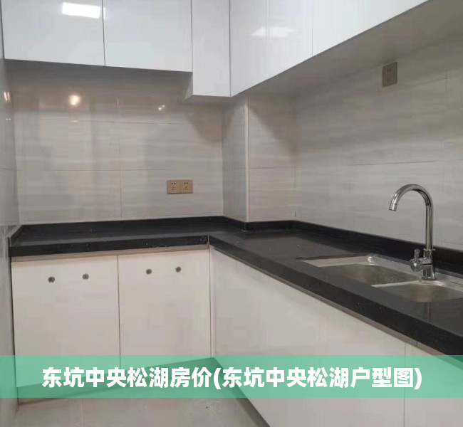 东坑中央松湖房价(东坑中央松湖户型图) 东坑中央松湖房价(东坑中央松湖户型图)