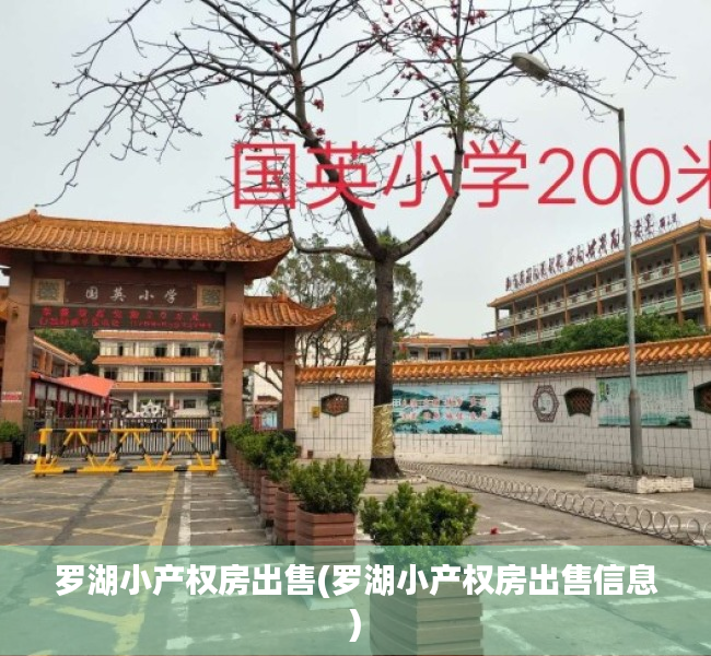 罗湖小产权房出售(罗湖小产权房出售信息) 罗湖小产权房出售(罗湖小产权房出售信息)