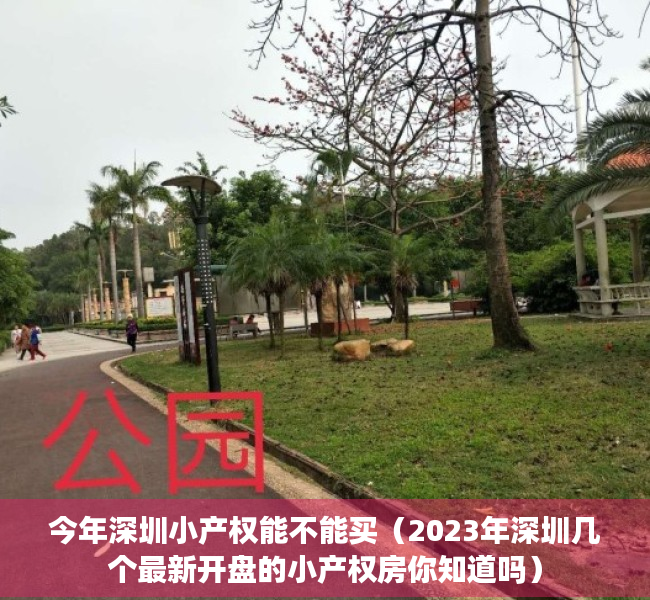 今年深圳小产权能不能买（2023年深圳几个最新开盘的小产权房你知道吗）