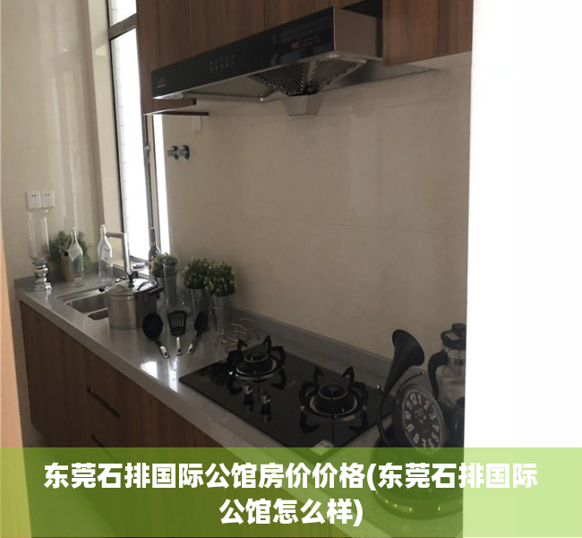 东莞石排国际公馆房价价格(东莞石排国际公馆怎么样)